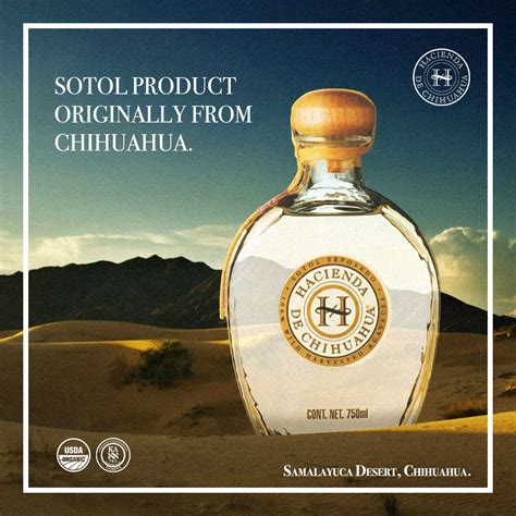 13 Mexican-Owned Tequila Brands To Spend Your Money On