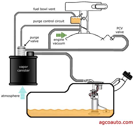 2001 Dodge Ram 1500 Evap System Diagram