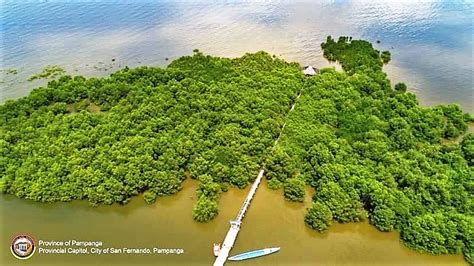 Pampanga wetland gets Ramsar ‘international importance’ status - Punto! Central Luzon