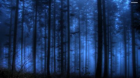 Blue Forest Wallpapers - Top Free Blue Forest Backgrounds - WallpaperAccess