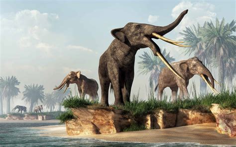 How Did Mammoths Go Extinct?