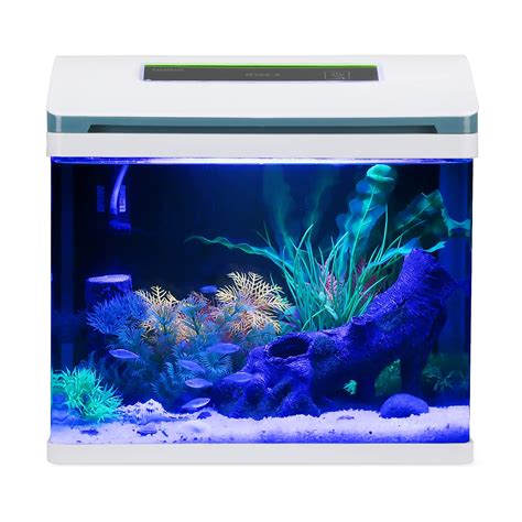 Best 5 Gallon Fish Tank for Seasoned & Beginners - AquariumPerfect