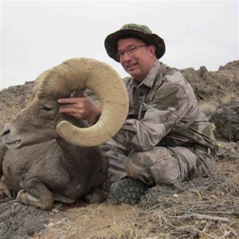 Bighorn Sheep Hunting - NV - Trips4Trade