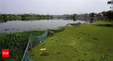 Water Crisis in India: How serious is India’s water crisis? | India News - Times of India