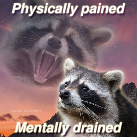 Nocturnal Trash Posts: 30 Of The Best Raccoon Memes