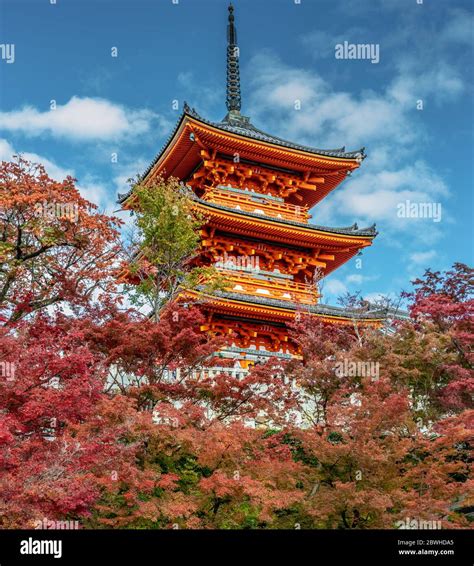 Toji Five story pagoda surounded by autumn colors. Kyoto, Japan Stock ...