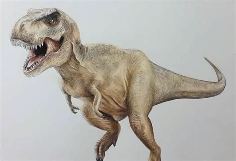 Jurassic Park T Rex Drawing at GetDrawings | Free download