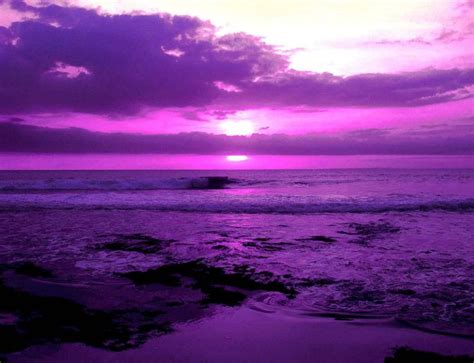 46 best images about Purple sunrise and sunset on Pinterest | Vineyard, Maui and Milky way