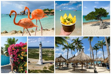 17 Best Things To Do In Aruba Island (Fun, Kids, Couples) – July Dreamer