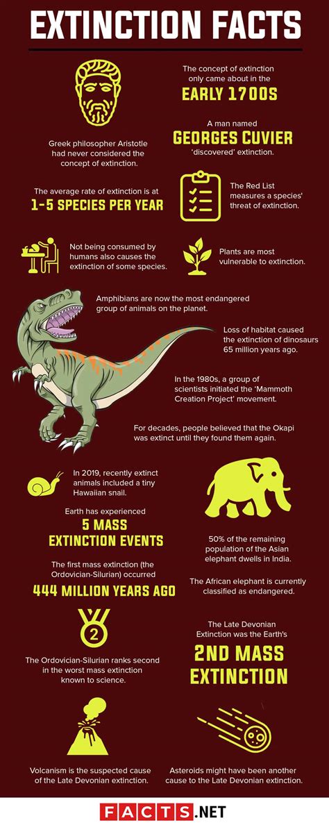 50 Critical Extinction Facts To Know Before It's Too Late