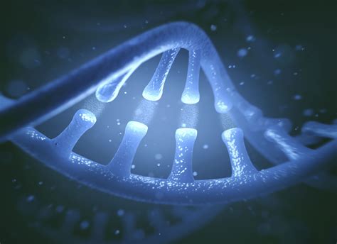 Nucleic Acids - Structure and Function