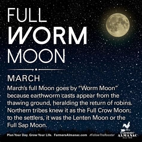 This Sunday, March 12th #FullMoonMarch2017 👼🏼ƸӜƷ