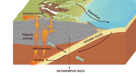 Metamorphic Rock Formation