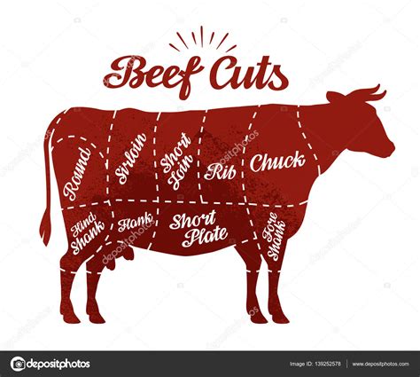 Butcher shop. Beef cuts. Vector illustration — Stock Vector © sergeypykhonin #139252578