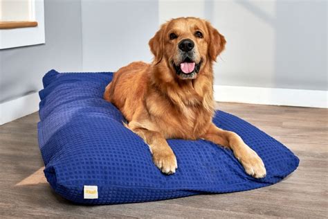 Buy Dog Bed Online & Bed Mattress for Dogs | Sleepycat