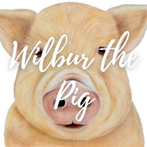 Wilbur the Pig