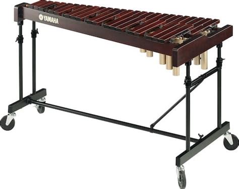 Top 11 Best Xylophone Brands On The Market 2024