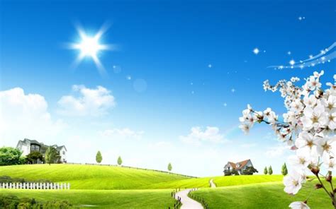 Bright Sun Glow Wallpapers | HD Wallpapers | ID #3902