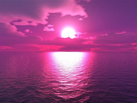 Purple and Pink Sunset Wallpaper - WallpaperSafari