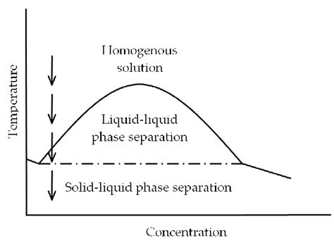 Typical phase diagram for a polymer-solvent system showing the regions... | Download Scientific ...