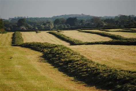 How to Make Silage: 12 Steps (with Pictures) - wikiHow