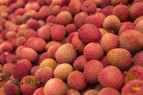 Rambutan Vs Lychee, What's The Difference?