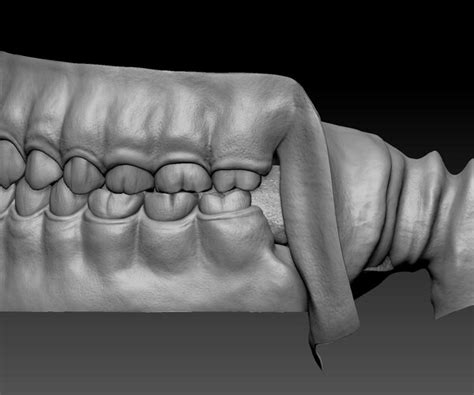 ArtStation - Human Teeth Model | Game Assets