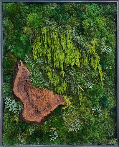 Moss Forest Wall Art | STATUSWOOD