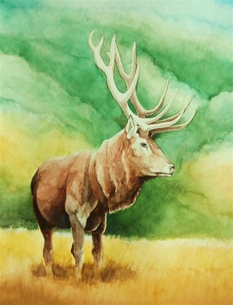 Tom Bose Watercolors: No. 25: Bull Elk Watercolor