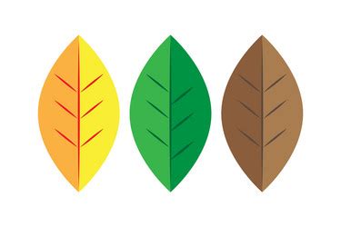 Brown Leaf Vector Images (over 55,000)