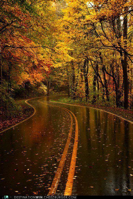 Pin by Gina Meyers on Beautiful Photos | Autumn rain, Scenery ...