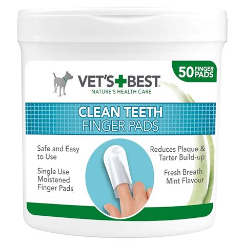 Average Cost Of Dog Teeth Cleaning Uk - TeethWalls