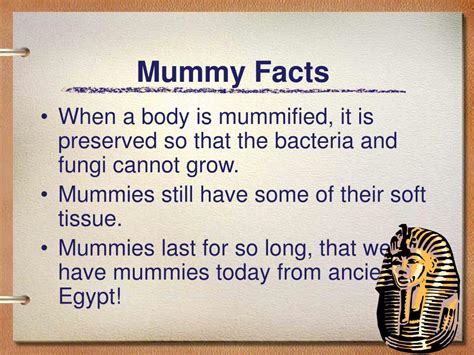 PPT - Mummies PowerPoint Presentation, free download - ID:1025388