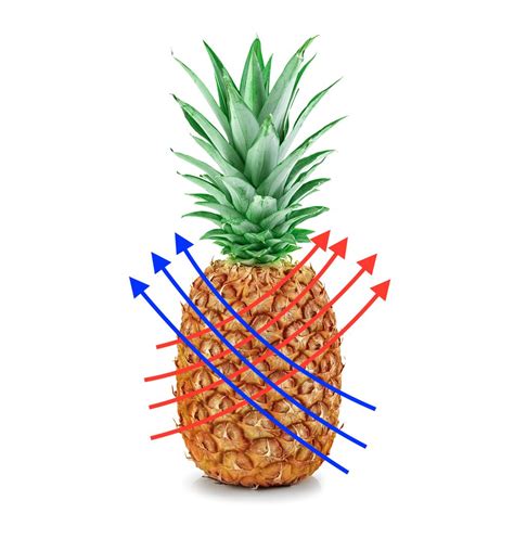 Pineapple Fibonacci