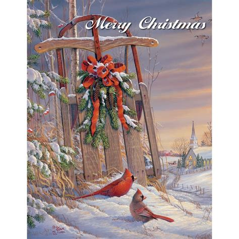 Wintertime Cardinal Christmas Cards by Sam Timm - Calendars.com