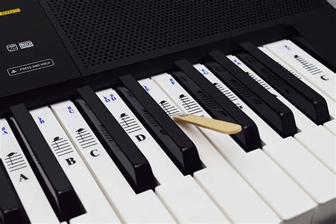 Piano Stickers for 49 / 61/ 76 / 88 Key Keyboards – Transparent and Removable – Quality Music Gear