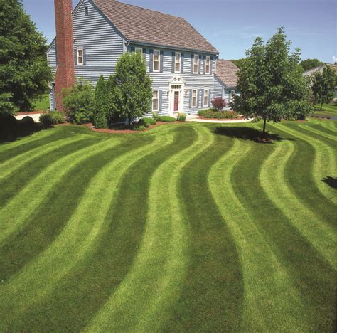 9 Lawn Striping Patterns You Should Try Out