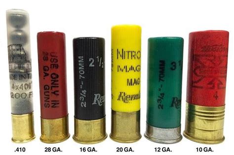 Shotgun Shells 12 Gauge Types