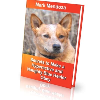 Blue Heeler Training Secrets PREMIUM