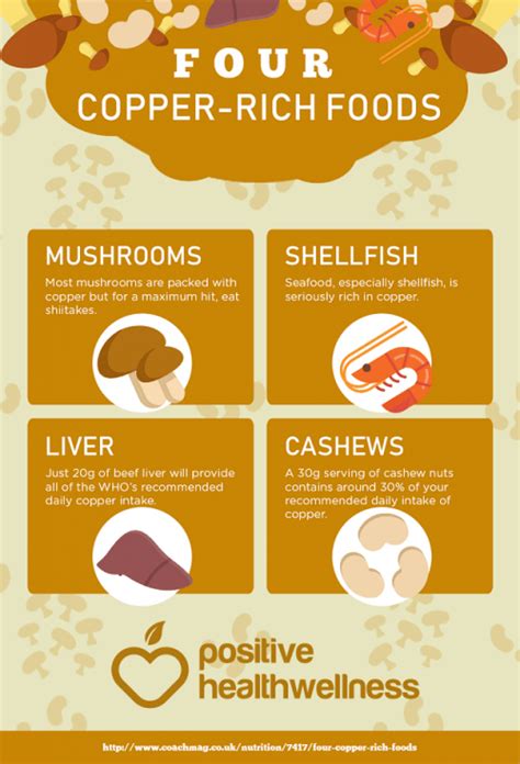 Four Copper-Rich Foods – Infographic – Positive Health Wellness