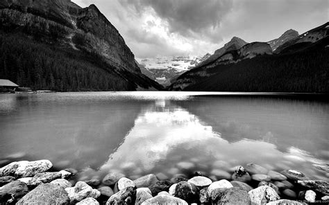 Beautiful Nature HD Wallpaper Black And White Free Download – Wallsev.com – Download Free HD ...