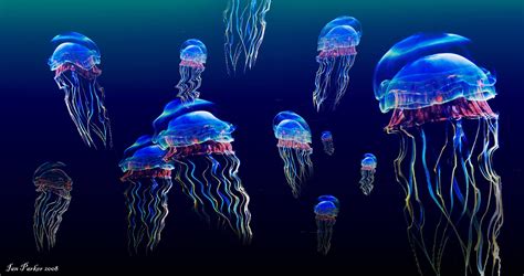 Jellyfish Wallpapers - Wallpaper Cave