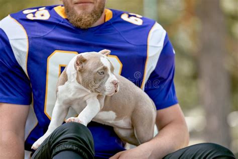 American Football Player with a Dog Posing on Camera in a Park. Copy Space, Sports Banner Stock ...