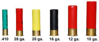 Mastering the Shotgun: A Guide to Popular Gauges - Adaptive Tactical