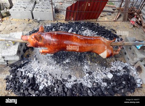 Roasting a whole pig - Lechon baboy in the island of Mindoro, Philippines Stock Photo - Alamy