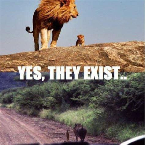 Timon and pumba! | Funny lion, Lion king, Disney funny