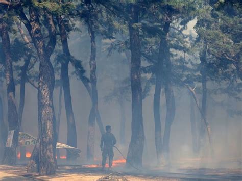 South Korea wildfire forces 500 residents to evacuate, rain helps fight flames - TODAY