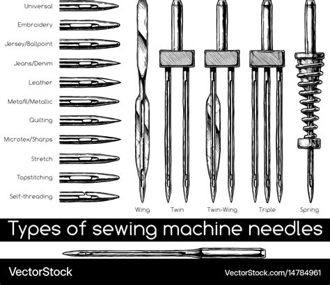 Types of sewing machine needles Royalty Free Vector Image