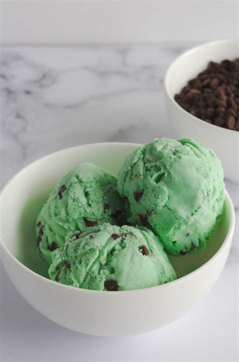 Homemade Mint Chocolate Chip Ice Cream – Nina Kneads to Bake