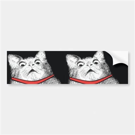 Surprised Cat Gasp Meme - Bumper Sticker | Zazzle